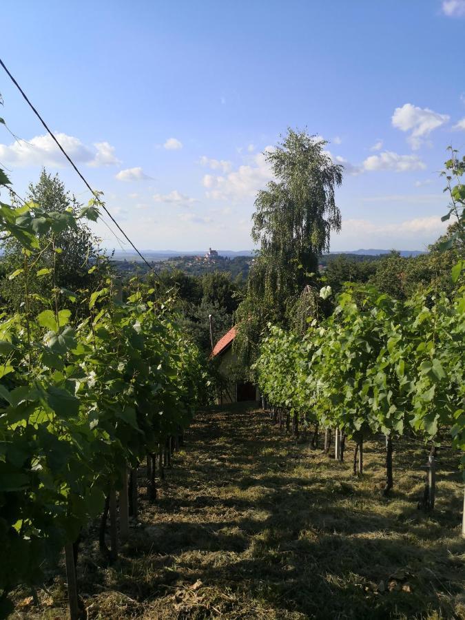 Vikendica Sirec Villa Ptujska Gora Buitenkant foto